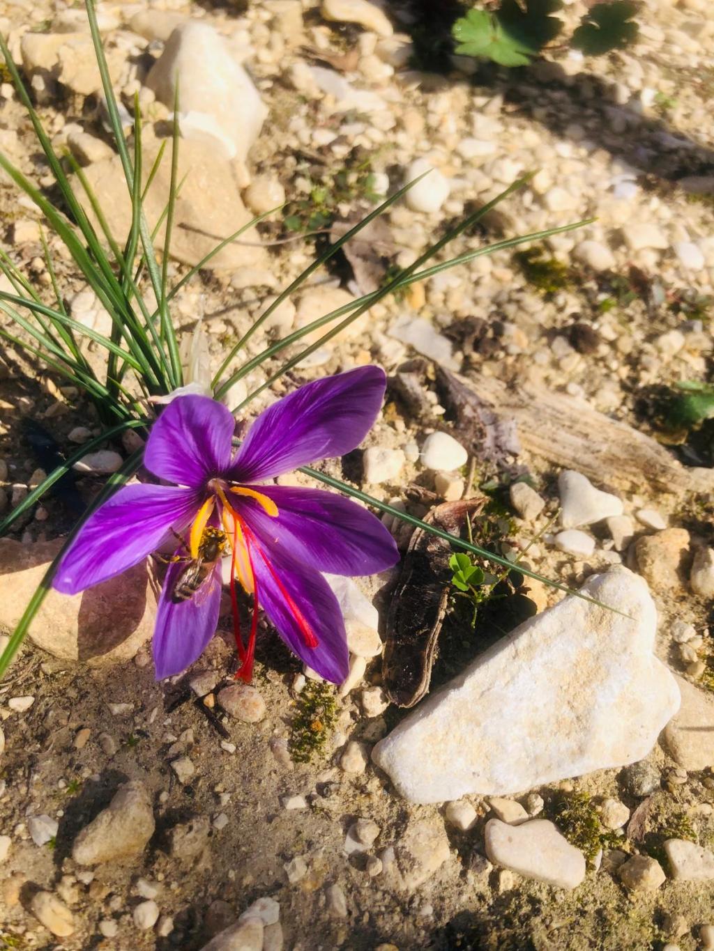 Bienvenue à l&rsquo;Or des Collines&nbsp;!